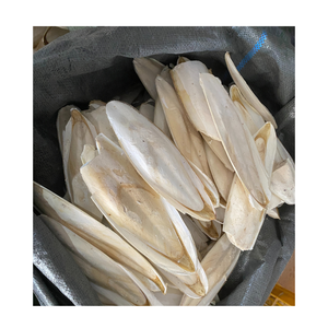 กระดูกปลาหมึก กระดูกแคลเซียม กระดูกเซปียา สําหรับอาหารสัตว์จากเวียดนาม - Product Image 1