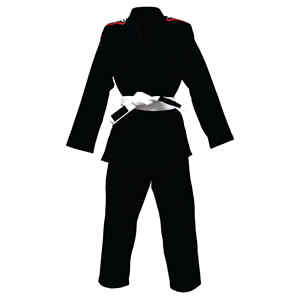 Custom Color Cotton <b>Fabric</b> Karate Uniforms for MMA Jiu Jitsu & Taekwondo Training OEM Services Available - Product Image 5