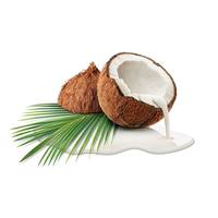 Te koop: Gedroogde kokosnoot, 100% natuurlijk, zoet, hoge kwaliteit, Vietnam, 12 maanden houdbaarheid, groothandel, klaar voor export, goedkope prijs +84