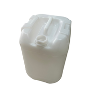 OEM 20L 25L 30L Seau de stockage d'eau en plastique Camping en plein air Conteneur d'eau en plastique portable Bidon de jerrycan en provenance du Vietnam
