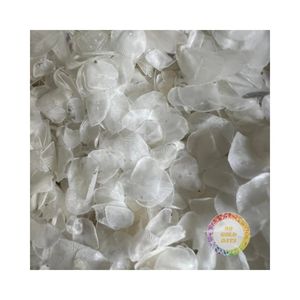 สารสกัดจากคอลลาเจนปลานิลแห้งจากโรงงานเวียดนาม - Product Image 1