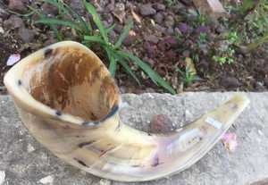 Corne de béliers Shofar pour les Juifs Matériau écologique de béliers et d'agate de corne de mouton - Product Image 2