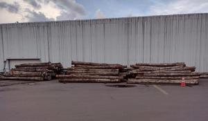 ไม้สักท่อนไม้สักพรีเมี่ยมแบบ Tectona Grandis (ประเทศไทย) - Product Image 2