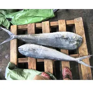 Método de congelación IQF Pescado Mahi entero congelado con 2 años de vida útil de Vietnam