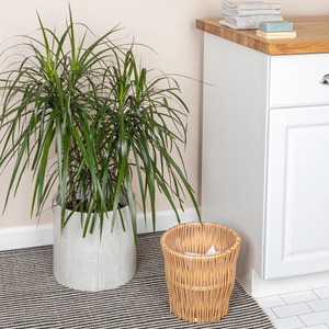 Cesta de Ratán Natural Versátil para Plantas, Hecha a Mano, Ecológica, Moderna, Multiusos, desde Hanói - Product Image 5