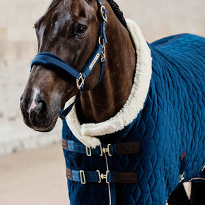 Chất Lượng Tốt Nhất Mùa Đông Ngựa Thảm Cách Nhiệt Thoáng Khí Không Thấm Nước Lông Cừu Lót Lưới Trọng Lượng Nhẹ Turnout Ngựa Chăn - Product Image 2