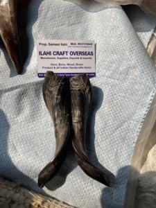 Par de Cuernos de Cabra Naturales con Acabado Natural para Decoración y Manualidades de Alta Calidad - Product Image 1