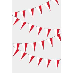 Monaco Triangular <b>Banners</b> Fanion Garland - Product Image 1