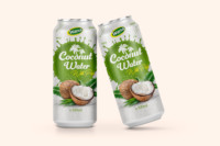 Fabrikant's Verfrissende 500ml Kokoswater Aloë Vera smaak Natuurlijke Smaak Laag in vet 100% Pure Elektrolyten Fruit Sap Puree Blikjes