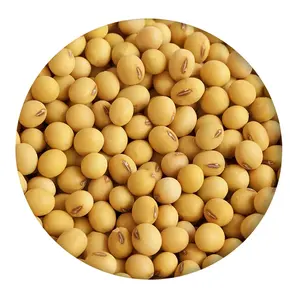 Animal feed high protein source NON GMO /Soya bean/ soya de oil cake factory price