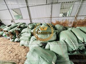 Sargasses non lavées de couleur brune, meilleur prix, algues sargasses séchées pour l'alimentation animale en provenance du Vietnam - Product Image 3