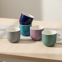 3460426A-0.2 Nouvelle conception nordique, tasse à thé en porcelaine résistante à la chaleur, durable, pour la dégustation de thé, usage domestique ou au bureau
