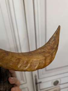 Vintage Shofar Ram cuerno shofar pulido o natural olor libre hecho a mano Judaica para Rosh Hashanah & Yom Kippur - Product Image 4