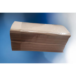 Asciugamani di Carta Eco Nature 21x22cm, 190 Pezzi, B2B - Product Image 2