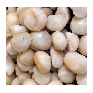 เม็ดแมคคาเดเมียดิบขายส่ง อบในเปลือก ราคาขายส่ง - Product Image 1