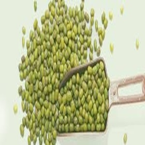 Frijoles Mung Verdes Ricos en Nutrientes Disponibles para Exportación a Precio de Granja - Product Image 5