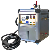 Machine de lavage de voitures à vapeur haute pression ultrasonique Inox, 4,5 HP, pour les ateliers de lavage de voitures, optique, garantie de 2 ans, usage industriel