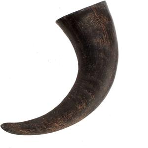 100% corne brute entière de buffle naturel 10cm à 80cms disponible pour la vente en gros - Product Image 3