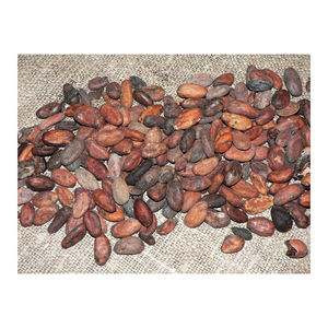 เมล็ดโกโก้ดิบอบแห้งวัสดุอบธรรมชาติขายส่ง - Product Image 1