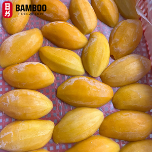 Industrial Bulk IQF Vacuum Pack Frozen Mango Portion Sun Ripened Flesh Water Preservation Confectionery Application Vietnam 100% - Product Image 2