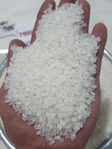 Arroz Japonica 5% Grano Redondo Roto Contactar a David en + 84986778999/+ 84867778224 para Consultas - Product Image 4