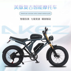 Bicicletta Elettrica da Montagna in Lega di Alluminio da 20 Pollici, Stile Retrò - Product Image 1