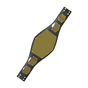 เข็มขัดนักมวยปล้ำเข็มขัดดีไซน์ใหม่สำหรับออกกำลังกายเข็มขัดออกแบบได้ตามต้องการ - Product Image 4