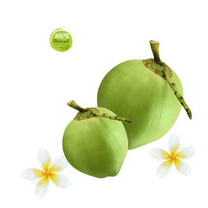 Coquille de noix de coco fraîche jeune pour réduire les ballonnements - Product Image 5