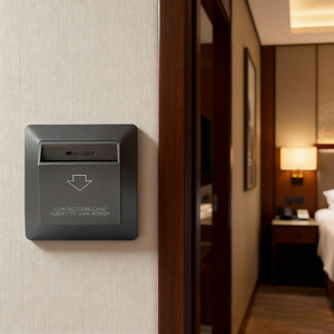デルンズ インテリジェントパワースイッチ 省エネキーカードシステム ホテル客室電力制御用 - Product Image 1
