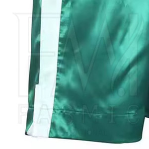 New Model 2025 Best Custom Logo MMA <b>Short</b> <b>Grappling</b> <b>Shorts</b> High Quality With 100% Polyester Fighting <b>Shorts</b> - Product Image 6