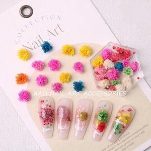 Los últimos productos para <span class=keywords><strong>uñas</strong></span> <span class=keywords><strong>Flores</strong></span> secas Mini Real Natural Flower 3D Nail Charms - Product Image 3
