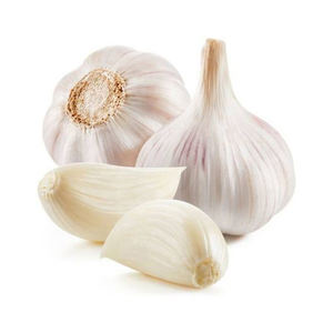 Entrega rápida de ajo fresco para compradores globales en la distribución y venta minorista de alimentos - Product Image 4