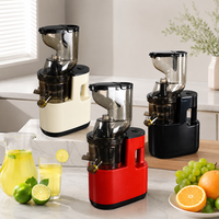 Commerciële slowjuicer voor fruit en groenten, hoge opbrengst sapcentrifuge voor thuiskeuken en straatverkopers