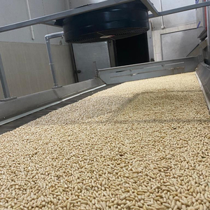 Pignons de pin turcs séchés bruts, best-seller – Qualité supérieure, naturels, en gros et abordables, idéaux pour les détaillants - Product Image 1