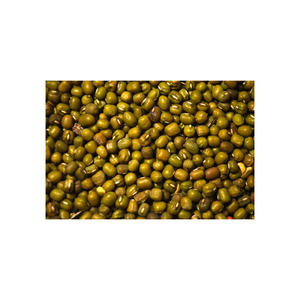 Vigna haricots mungo prix bon marché approvisionnement en vrac livraison rapide prêt à l'exportation - Product Image 5