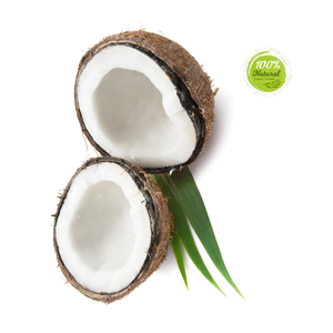 La cáscara de coco seca de estilo fresco apoya la seguridad alimentaria en los países en desarrollo - Product Image 4