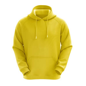 Vente en gros de sweats à capuche 300G 100% coton de haute qualité, sweats à capuche lourds, logo personnalisé, sweats à capuche unisexes - Product Image 1
