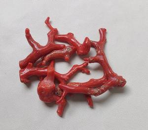 100% palo de rama de Coral rojo I pulido Natural 110 Cts cabujón de rama de Coral italiano pulido joyería de fabricación de piedras preciosas de Coral rojo - Product Image 3