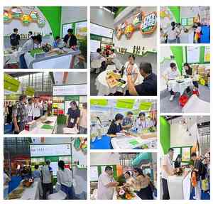 Vente directe d'usine d'huile de graines de citrouille pressée de première qualité, huile santé - Product Image 4