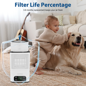 Purificador de Aire HEPA de Escritorio ZQA-3000A con Aromaterapia, Admisión de Aire a 360°, Instalación Portátil, USB, Enchufe Estadounidense, Función WiFi, Certificado ROHS - Product Image 5