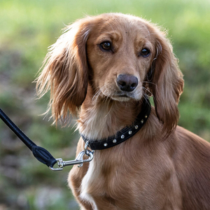 Collier de chien PU de haute qualité avec rivet en diamant personnalisable en gros fabricant de services OEM meilleur collier de laisse de chien de l'usine - Product Image 6