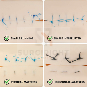 ชุดอุปกรณ์เย็บแผลทางการแพทย์สำหรับนักเรียนเครื่องมือทางการแพทย์ได้รับการรับรองจาก ISO โดยเครื่องมือผ่าตัด - Product Image 6