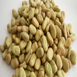 ถั่วปากอ้าอบกรอบแบบธรรมชาติ เม็ดเล็กและเม็ดเต็มเมล็ด สำหรับขาย - Product Image 6