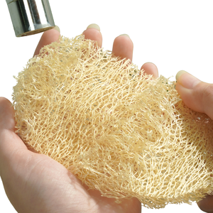 ใยบวบขัดผิวออร์แกนิค 100% พร้อมด้ามจับยาว ขัดผิวอย่างเป็นธรรมชาติ สำหรับใช้ในห้องน้ำ ย่อยสลายได้ ผลิตในเวียดนาม - Product Image 3