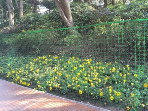 Rollo cuadrado de plástico HDPE para valla de jardín con barrera temporal ecológica de Color <span class=keywords><strong>verde</strong></span> y blanco para uso en sitio de construcción de perros - Product Image 5