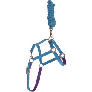 Licol pour chevaux réglable, en nylon résistant, rembourrage en néoprène anti-frottement, couronne et nez entièrement rembourrés, pour tous les chevaux de toutes tailles - Product Image 3