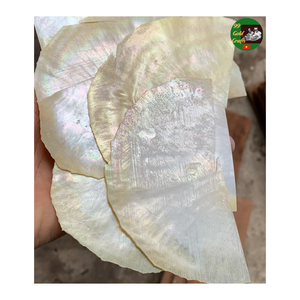 Feuille de placage de coquille, feuille de placage de coquille décorative, feuille de placage de coquille faite à la main pour des panneaux de mur, des meubles, et des bijoux - Product Image 4