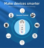 Prises intelligentes Wi-Fi Zigbee 3 prises 2 ports USB 16A Plastique ABS Israël 3 broches Surveillance de la consommation d'énergie TUYA USBC 240V Prise IL
