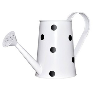 Fabricante y Proveedor de Regaderas Metálicas Antiguas Blancas, Regadera Galvanizada de Diseño Personalizado, Proveedor Mayorista - Product Image 1