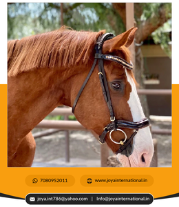 Bonne qualité Brown Patent Sparkle Anatomique Snaffle Bridle Factory Bulk Supply Fabriqué par Intelligent Horse Products - Product Image 4